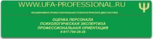 Отбор персонала Город Уфа PROFESSIONAl.jpg