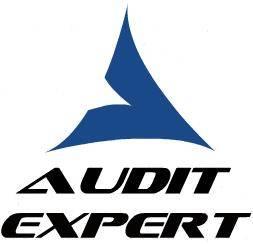 Ооо г уфа. Audit Expert логотип. ООО аудит эксперт. Аудиторская фирма аудит эксперт. Эксперт-аудит логотип компании.